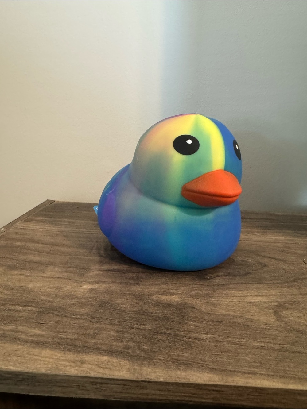 VIRAL- Tie Dye Squishy Duck NWT 🦆